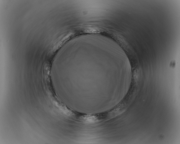 X0000111240322200907161348