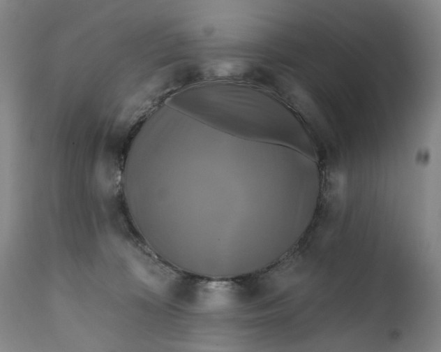 X0000111240324200907161348