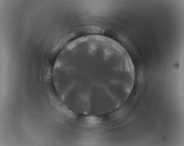 X0000111240326200907161348