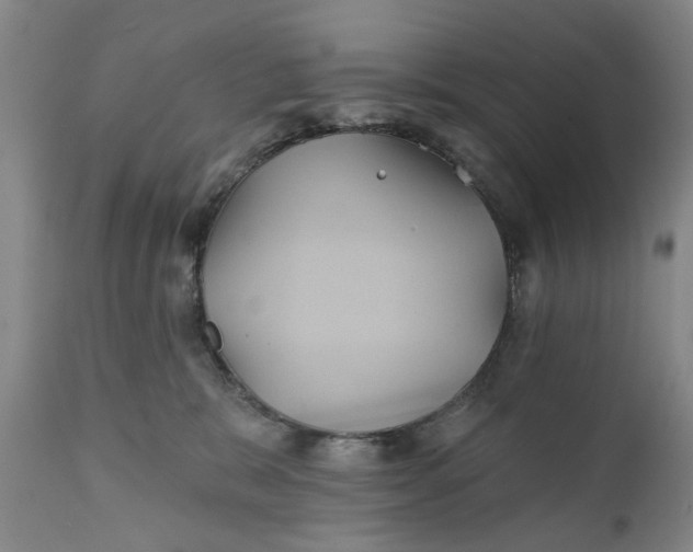 X0000111240327200907161347