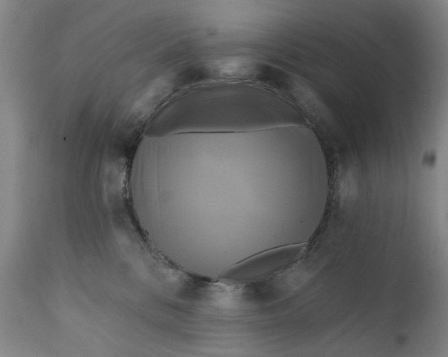 X0000111240328200907161347