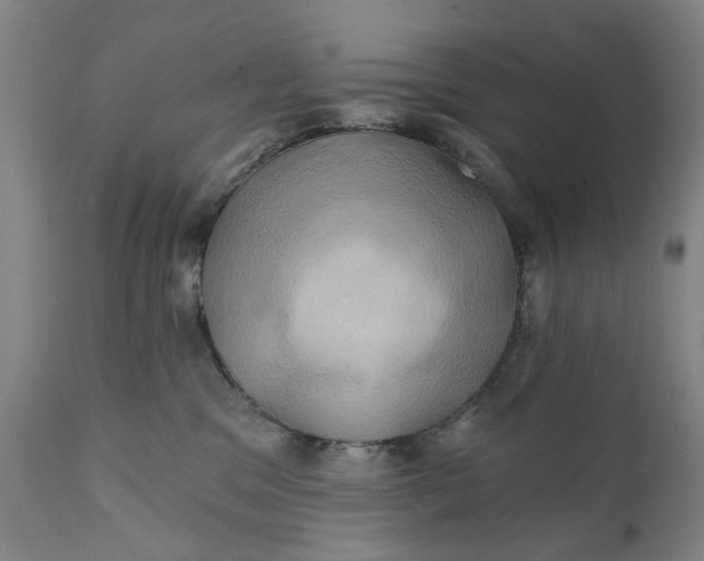 X0000111240329200907161347