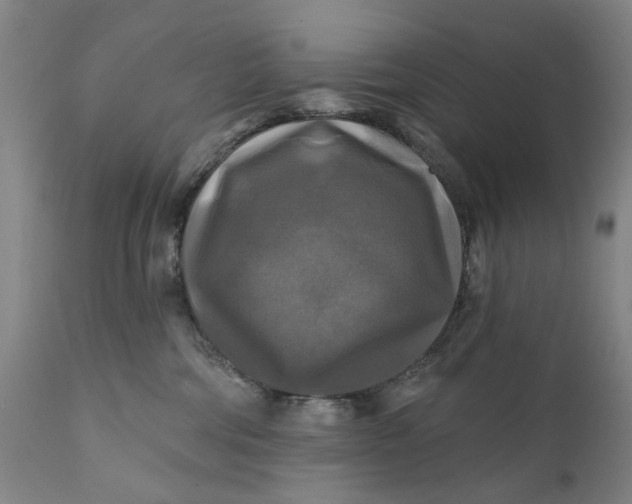 X0000111240330200907161347