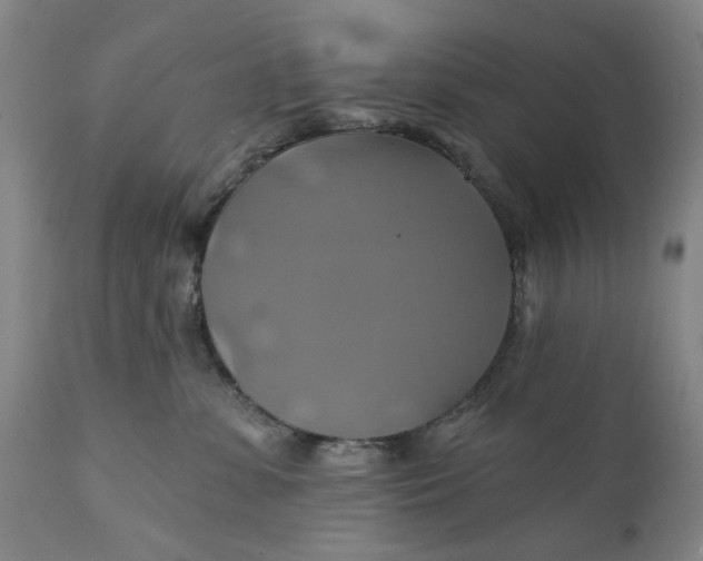 X0000111240331200907161347