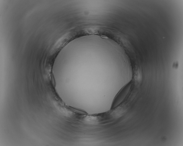 X0000111240332200907161347