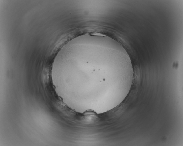 X0000111240333200907161347