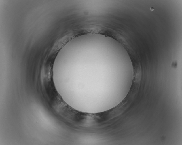 X0000111240334200907161347