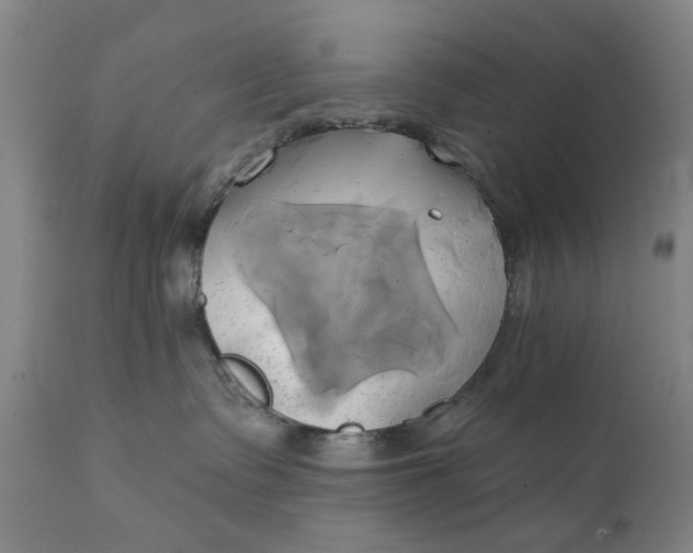 X0000111240335200907161347