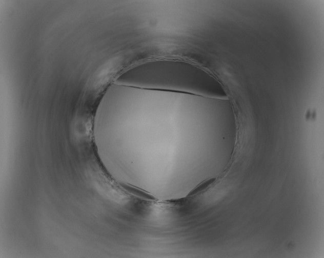 X0000111240336200907161347