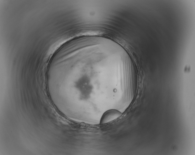 X0000111240337200907161347