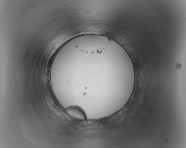 X0000111240338200907161347