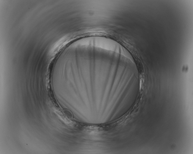 X0000111240339200907161347