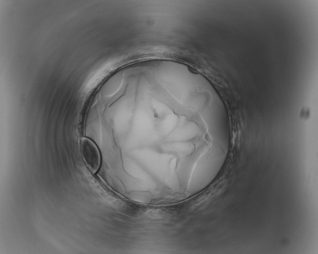 X0000111240341200907161347