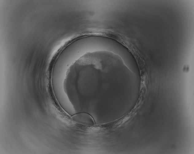 X0000111240342200907161347