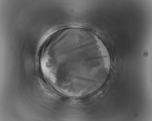 X0000111240343200907161347