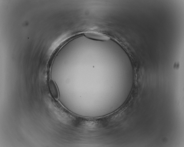 X0000111240344200907161347