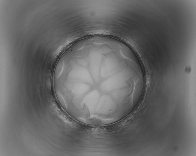 X0000111240345200907161347