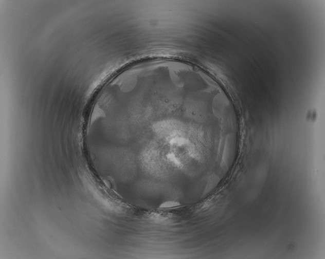 X0000111240346200907161347