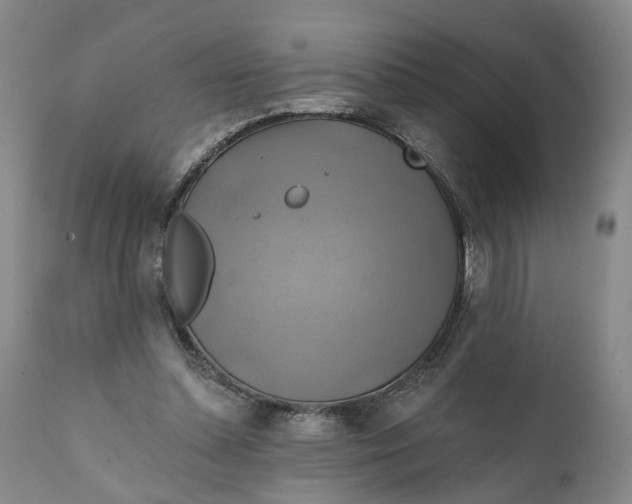 X0000111240348200907161347