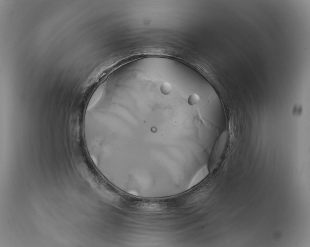 X0000111240349200907161347