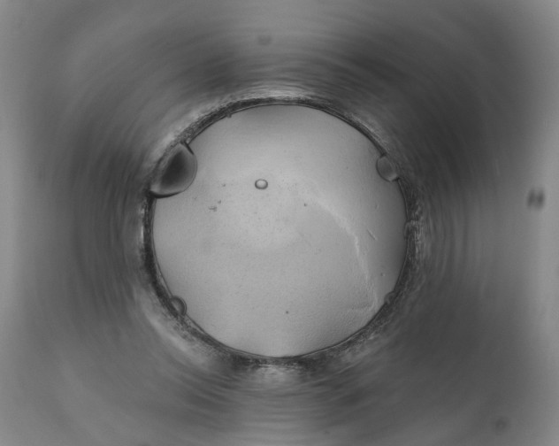 X0000111240350200907161347