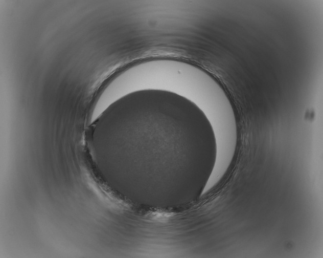 X0000111240352200907161347