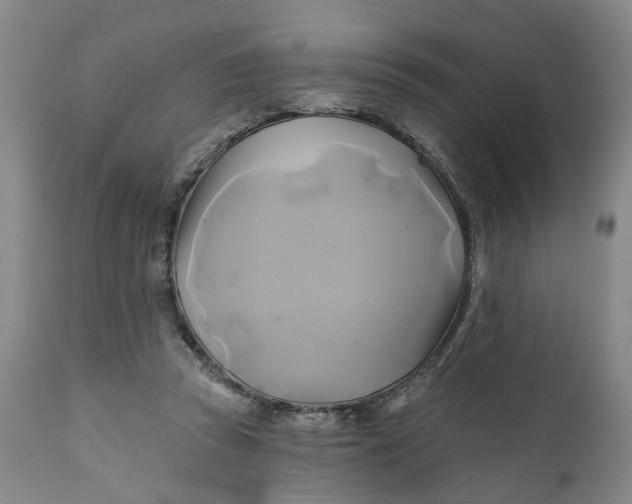 X0000111240353200907161347