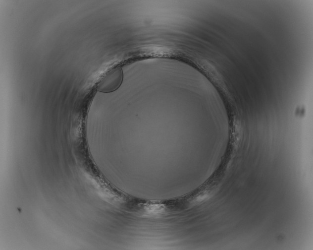 X0000111240355200907161347