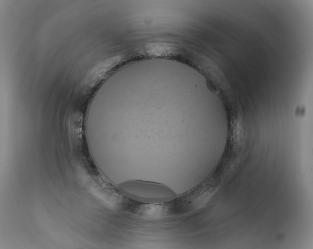 X0000111240356200907161347