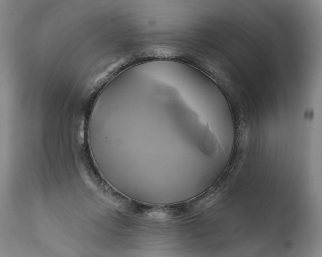 X0000111240358200907161347