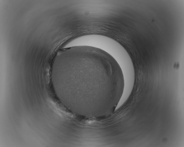 X0000111240360200907161347