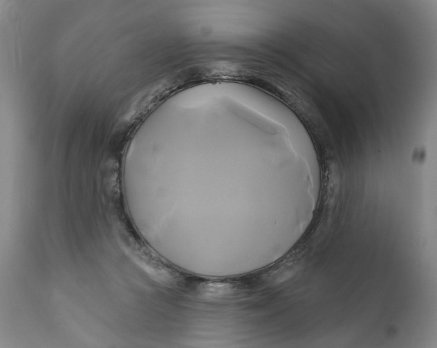 X0000111240361200907161347