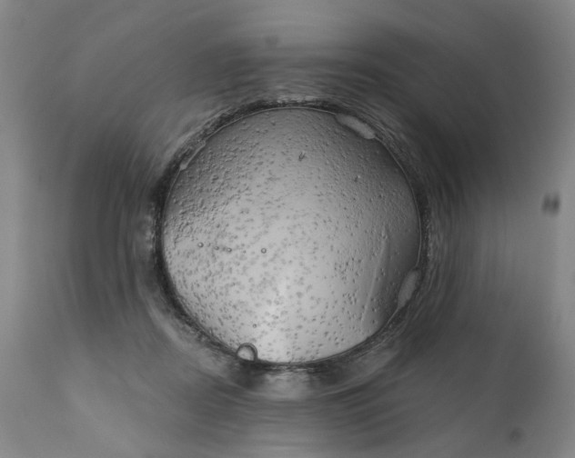 X0000111240362200907161347