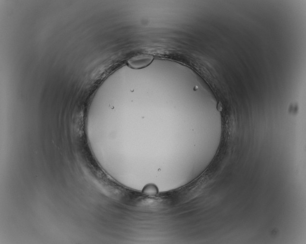 X0000111240364200907161347