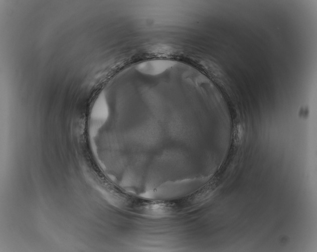 X0000111240365200907161347