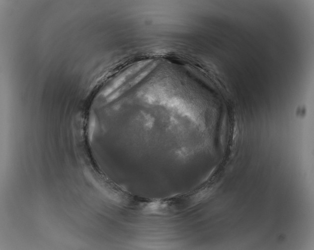 X0000111240366200907161347