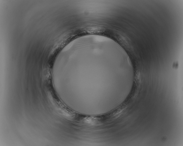 X0000111240367200907161347