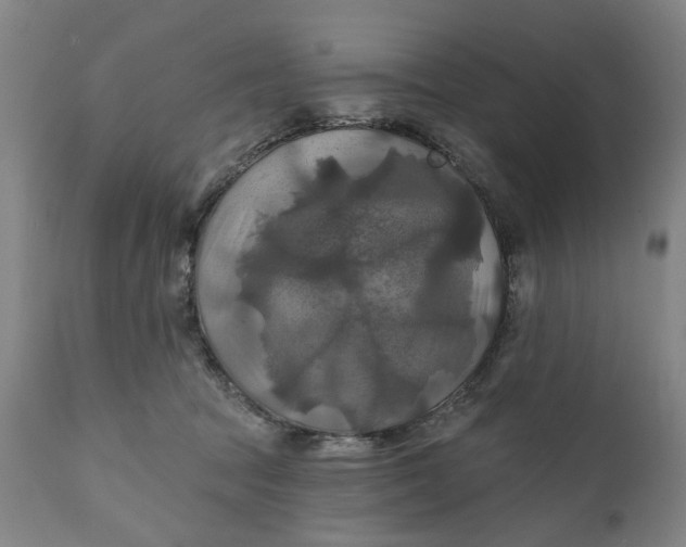 X0000111240369200907161347