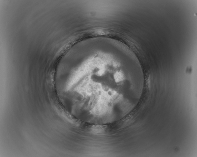 X0000111240373200907161347