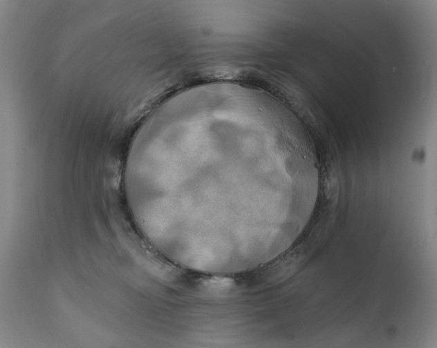 X0000111240374200907161347