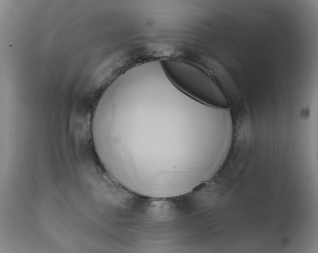 X0000111240376200907161347