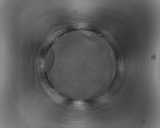 X0000111240380200907161347