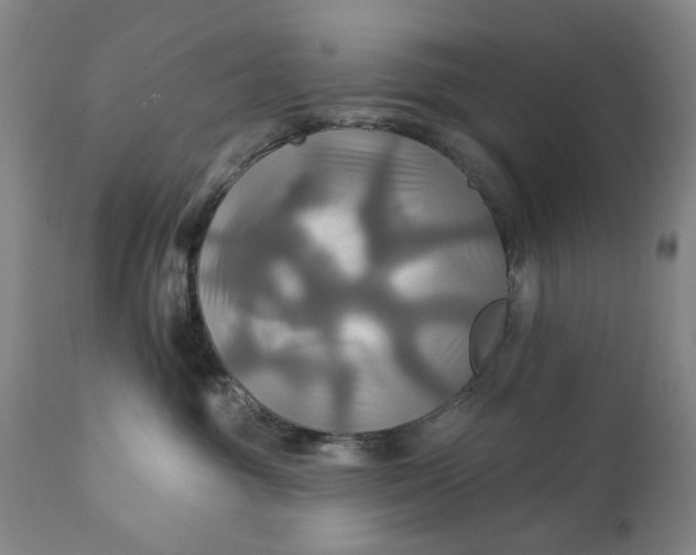 X0000111240381200907161347