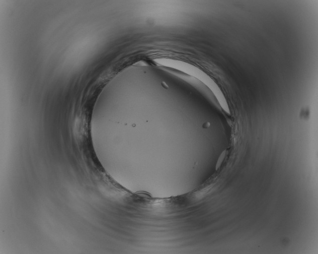 X0000111240382200907161347