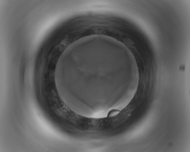 X0000111240383200907161347