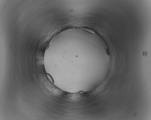 X0000111240384200907161347