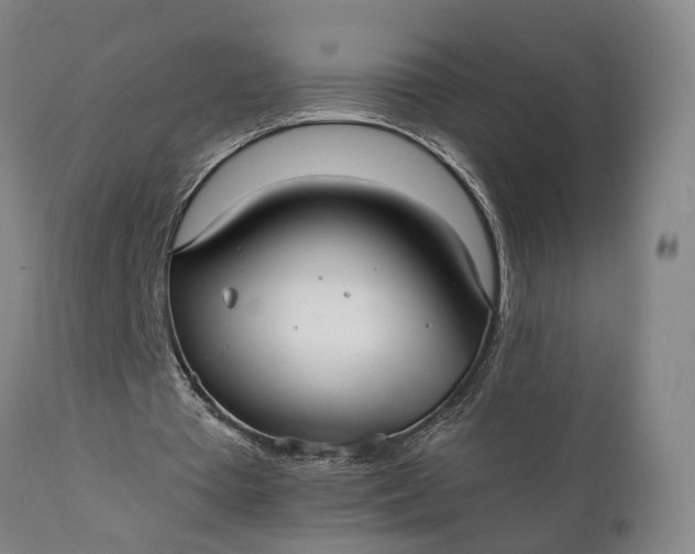 X0000111240385200907161347