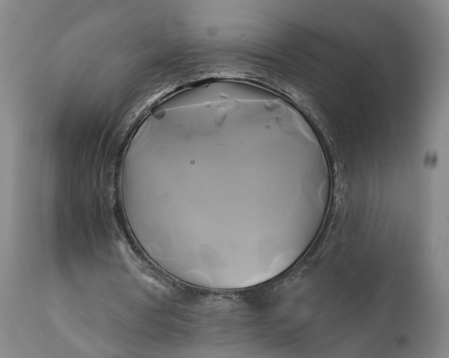 X0000111240386200907161347