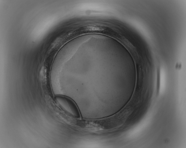 X0000111240387200907161347