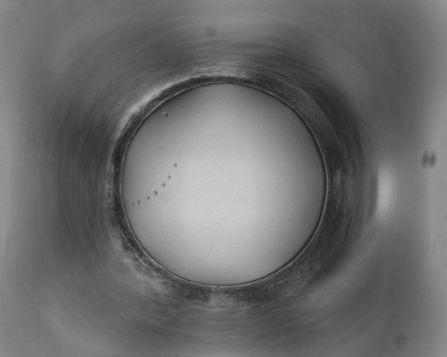 X0000111240388200907161346